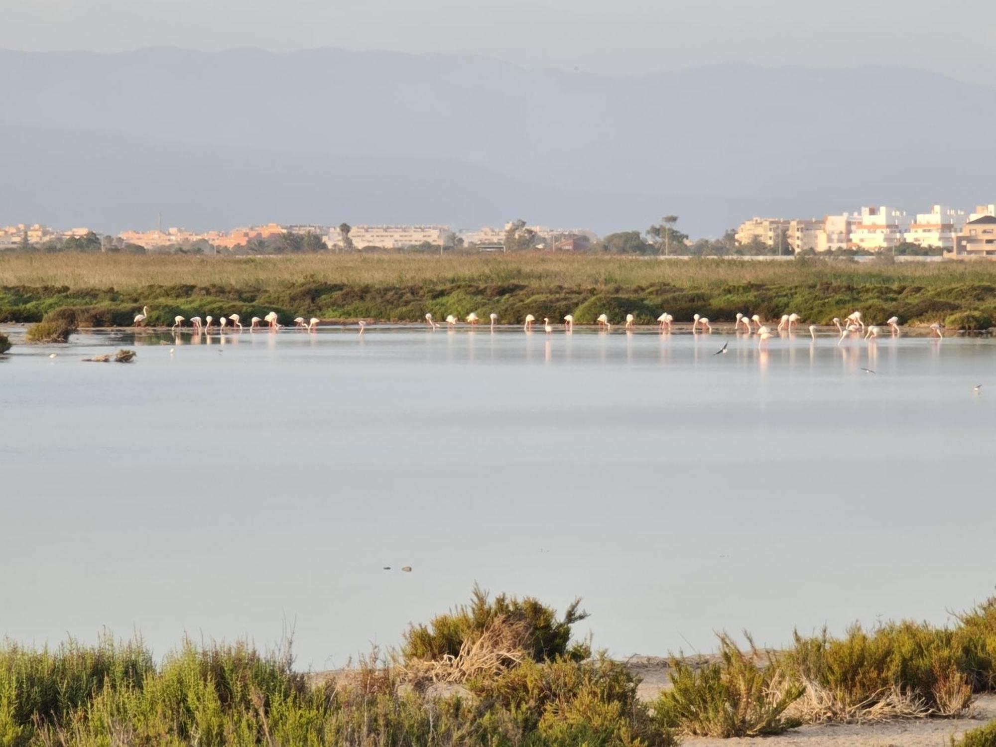 Appartamento Ap-to Frente Al Mar Villaromana *