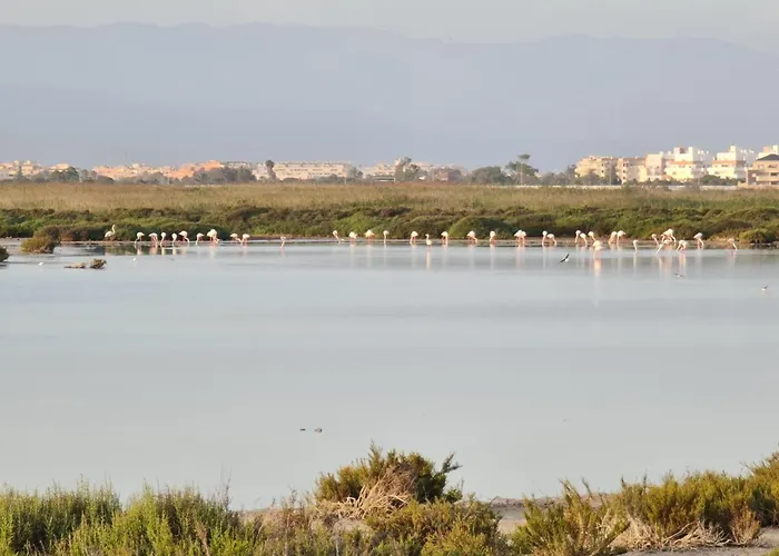 Ap-To Frente Al Mar Villaromana