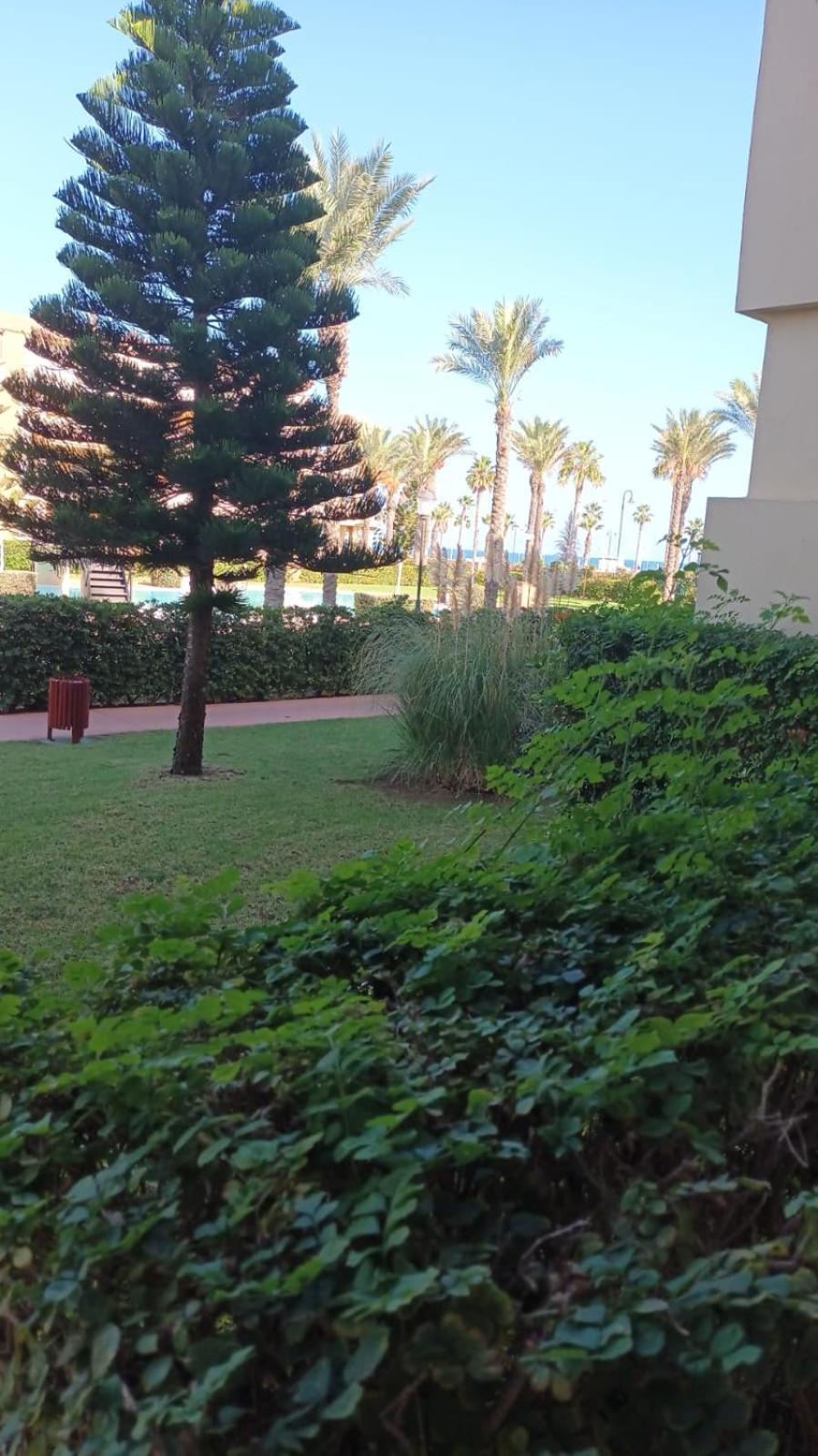 Ap-to Frente Al Mar Villaromana Appartement *
