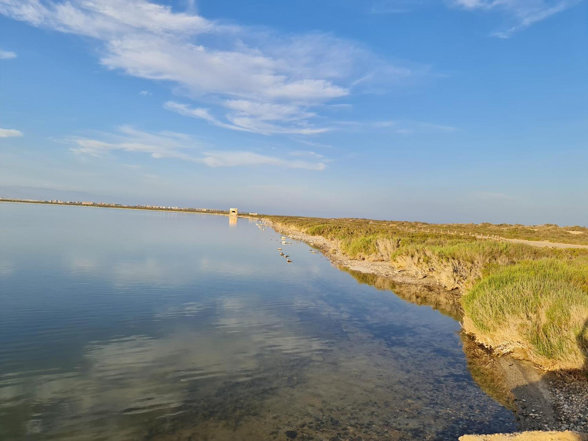 Ap-to Frente Al Mar Villaromana Appartement