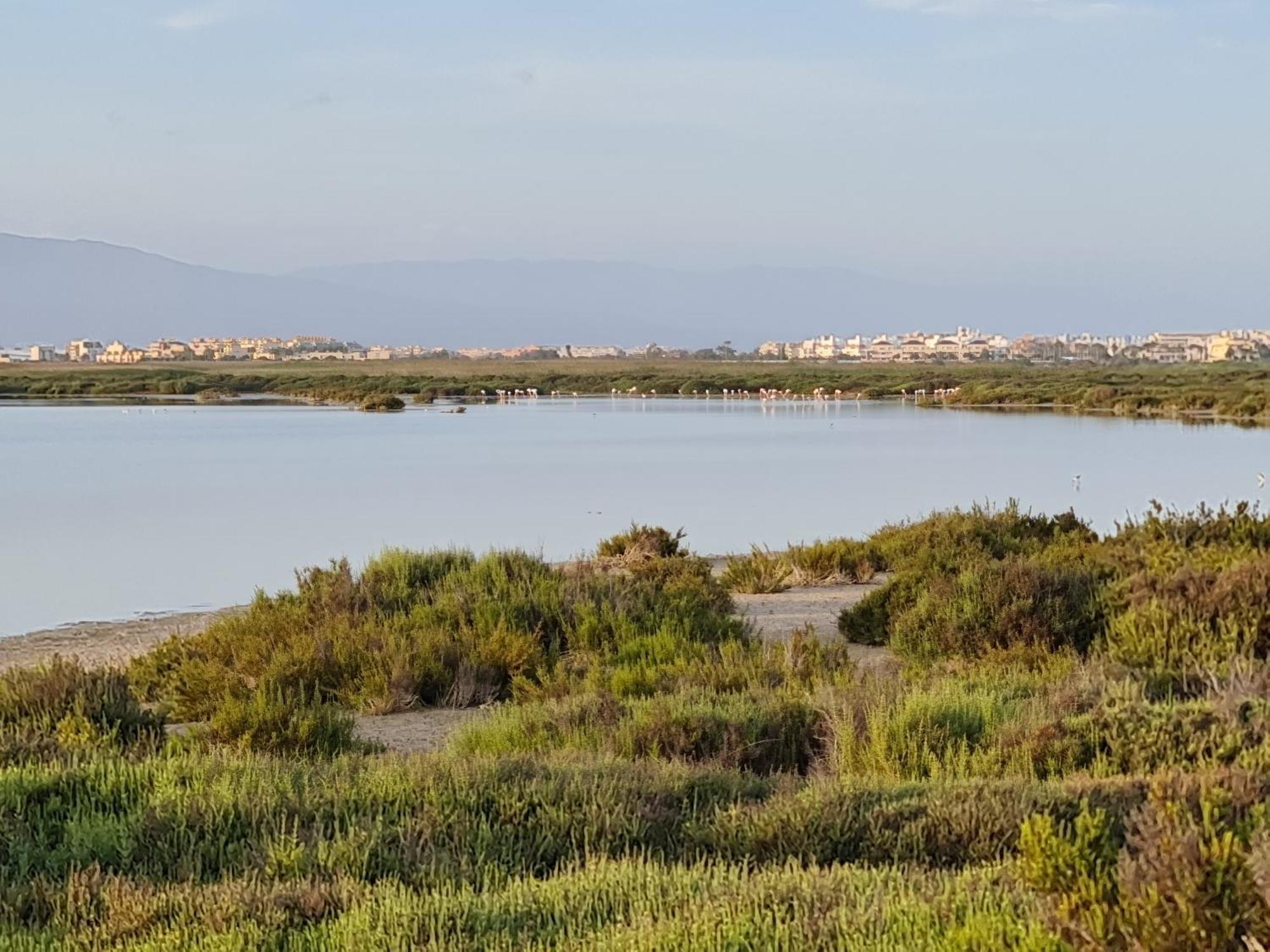 Apartment Ap-to Frente Al Mar Villaromana *